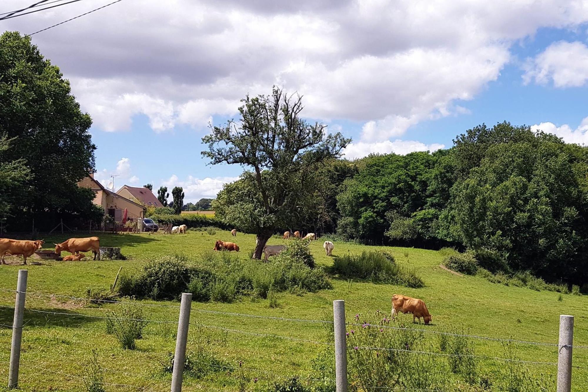 Celies Country Cottage Blaru Exteriér fotografie